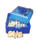 Incubadora para huevos de gallinas 50 huevos