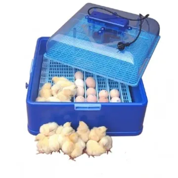 Incubadora para huevos de gallinas 50 huevos