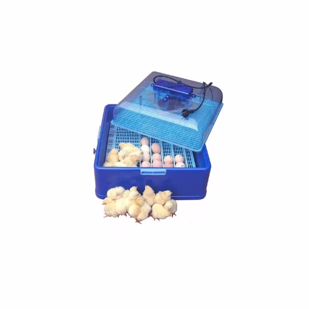 Incubadora para huevos de gallinas 50 huevos