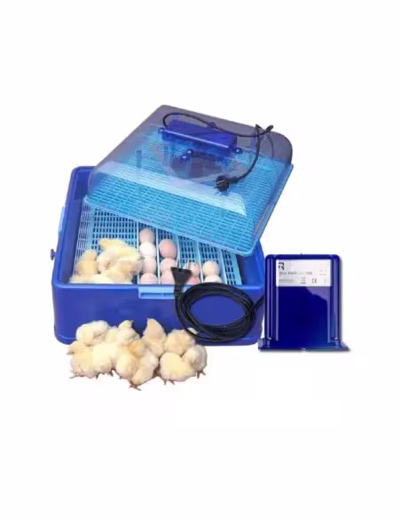 Incubadora para huevos de gallinas 50 huevos Incubadora para huevos de gallinas 50 huevos