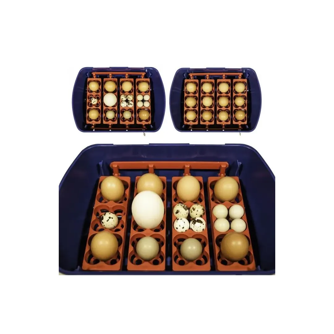 Incubadora para huevos modelo REAL 12
