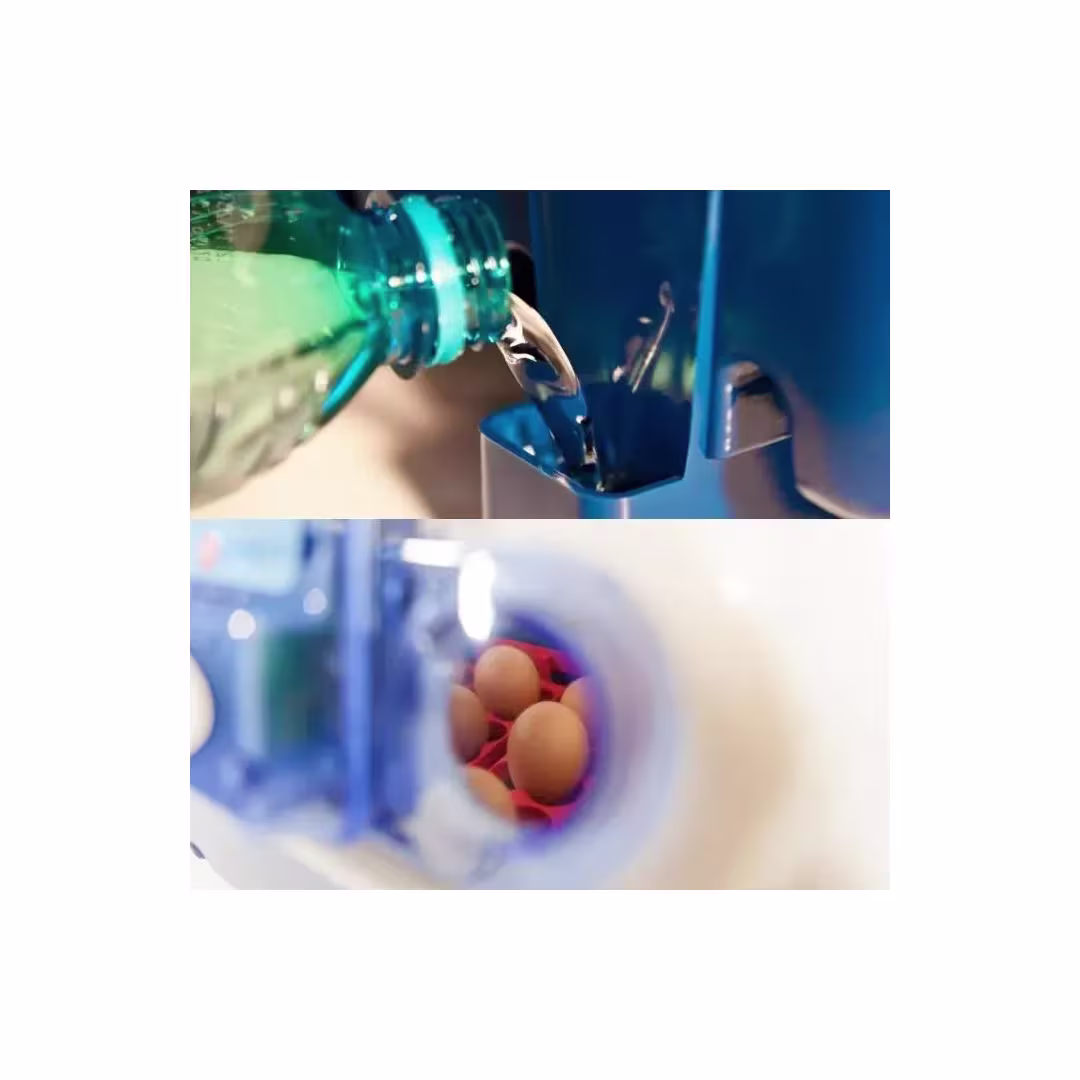 Incubadora para huevos modelo REAL 12