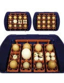 Incubadora para huevos modelo REAL 24 manual