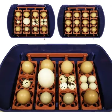 Incubadora para huevos modelo REAL 24 manual