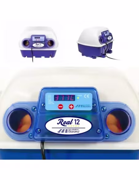 Incubadora para huevos modelo REAL 24 automatica