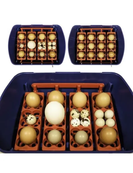 Incubadora para huevos modelo REAL 24 automatica