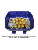 Incubadora para huevos modelo REAL 24 automatica