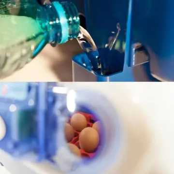 Incubadora para huevos modelo REAL 24 automatica