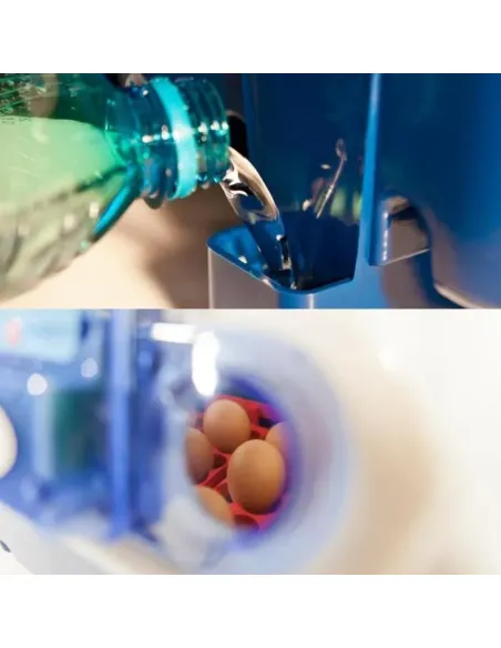 Incubadora para huevos modelo REAL 24 automatica