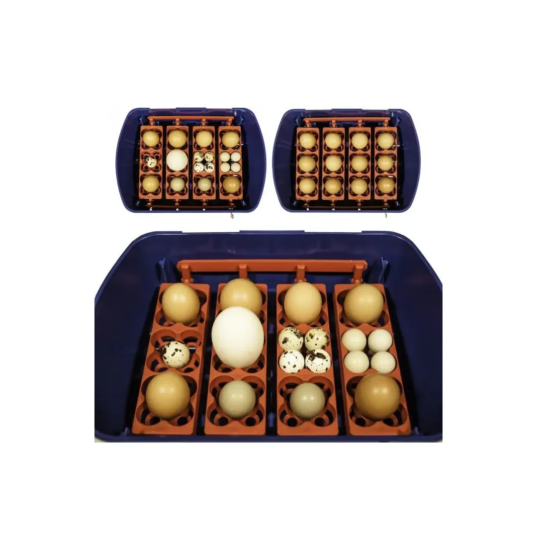 Incubadora para huevos modelo REAL 49 automatica
