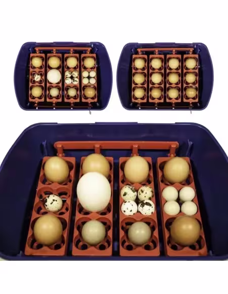 Incubadora para huevos modelo REAL 49 automatica Incubadora para huevos modelo REAL 49 automatica