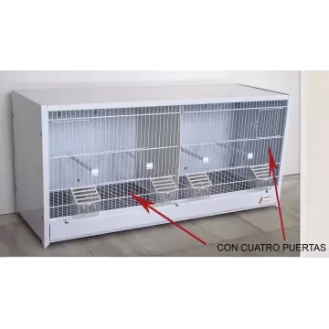 modulos cria canarios