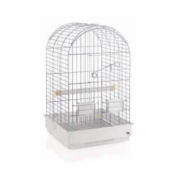 Jaulas para Loros | CiberMascotas