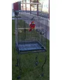 Jaula para Loros modelo PALMA