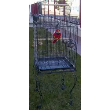 Jaulas para Loros | CiberMascotas
