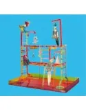 Parque de juego para agapornis