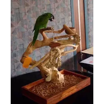 Parque de juego Java Mini Tree Medium