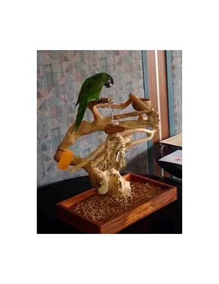 Parque de juego Java Mini Tree Medium