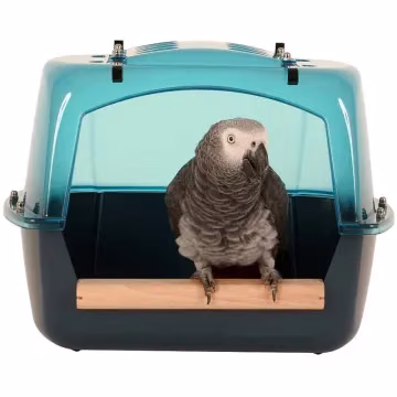 Bañera grande para loros