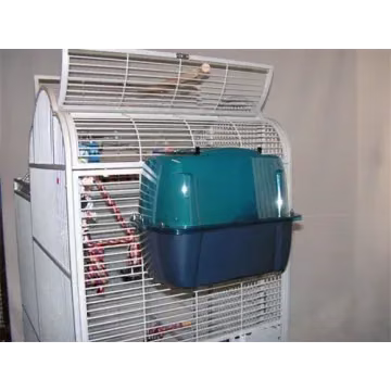 Bañera grande para loros
