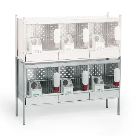 Modulo para perdices Galvanizados