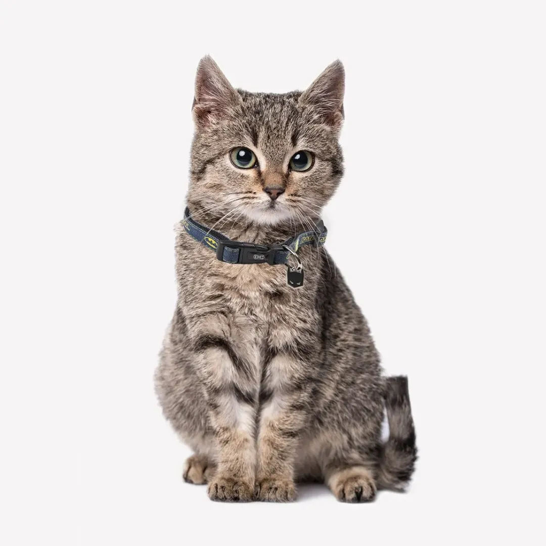 Collar de Batman para mascotas DC Comics | CiberMascotas