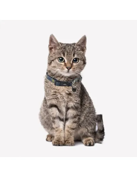 Collar de Batman para mascotas DC Comics | CiberMascotas