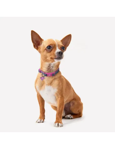 Collar Para Mascotas SuperGirl Marvel | CiberMascotas