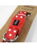 Collar para mascotas Minnie DC Disney | CiberMascotas