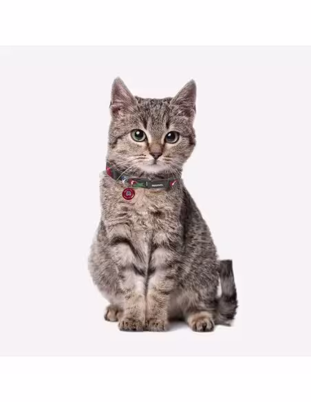 Collar Para Mascotas Capitán América De Marvel | CiberMascotas