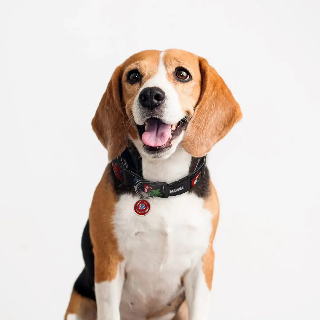 Collar Para Mascotas Capitán América De Marvel | CiberMascotas