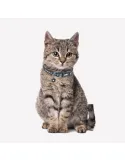Collar Para Mascotas STAR WARS DARTH VADER | CiberMascotas