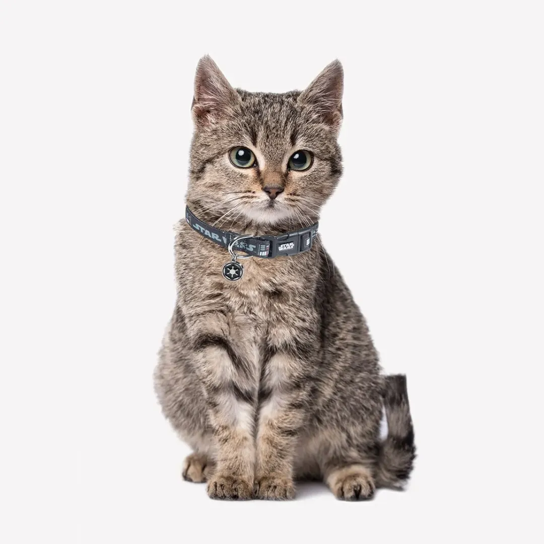 Collar Para Mascotas STAR WARS DARTH VADER | CiberMascotas