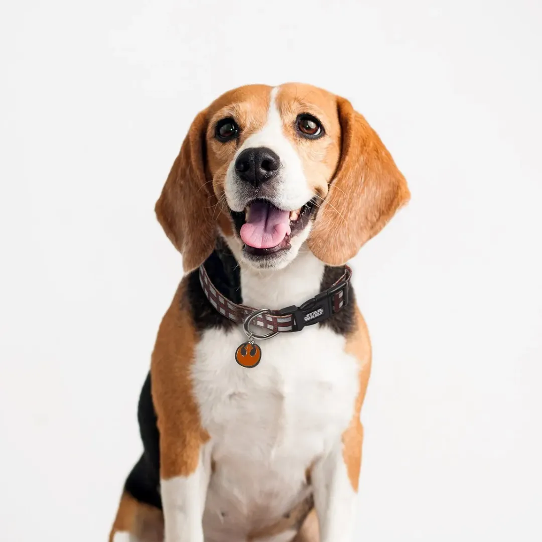 Collar Para Mascotas STAR WARS CHEWBACCA | CiberMascotas