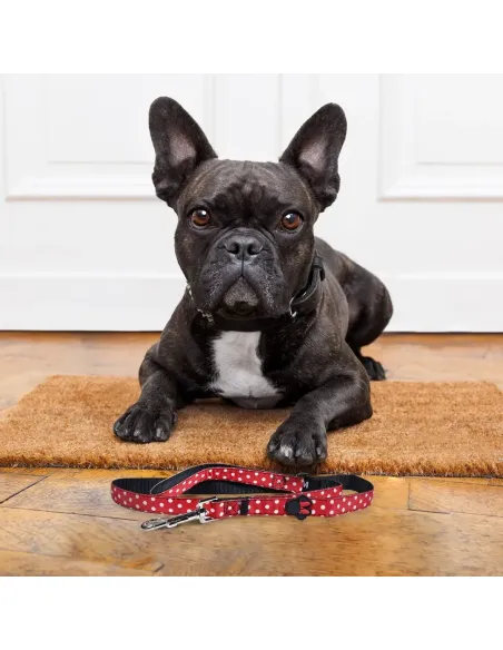 Correa De Minnie Mouse Para Mascotas | CiberMascotas