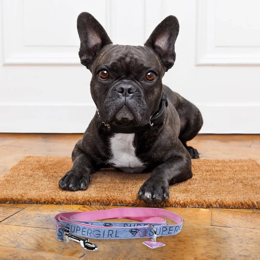 Correa para mascotas SuperGirl Marvel Comic