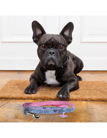 Correa para mascotas SuperGirl Marvel Comic