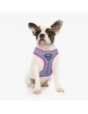 Arnes Para Mascotas SuperGirl Marvel