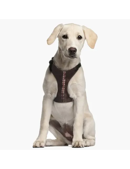 Arnes Para Mascotas Star Wars Chewbacca