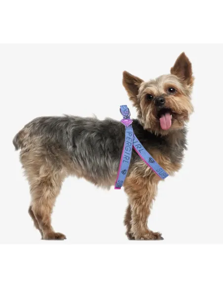 Arnes Petral para mascotas SuperGirl Marvel | CiberMascotas