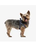 Arnes Petral para mascotas Star Wars DARTH VADER