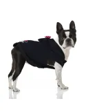 Sudadera Para Perros Disney Minnie© | CiberMascotas