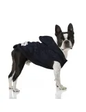 Sudadera Para Perros Star Wars DC Comics© | CiberMascotas
