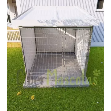 Boxes para perros | Modelo labrador 2x2 Luxe