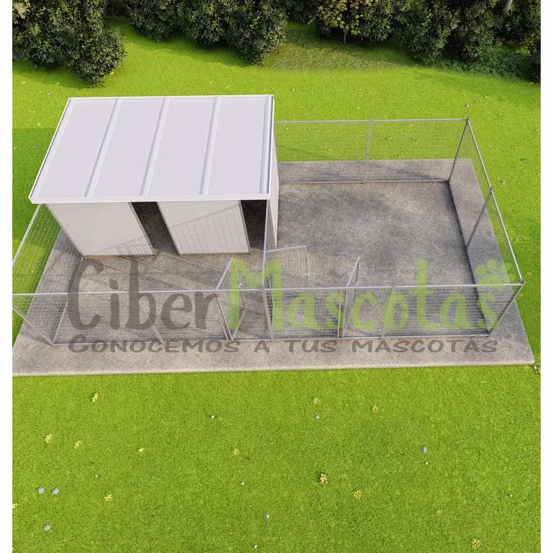 Conjunto Boxes  American stanford | CiberMascotas