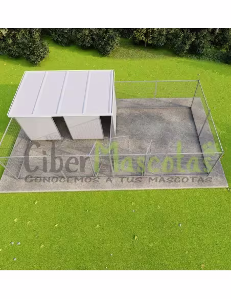 Conjunto Boxes  American stanford | CiberMascotas Conjunto Boxes  American stanford | CiberMascotas