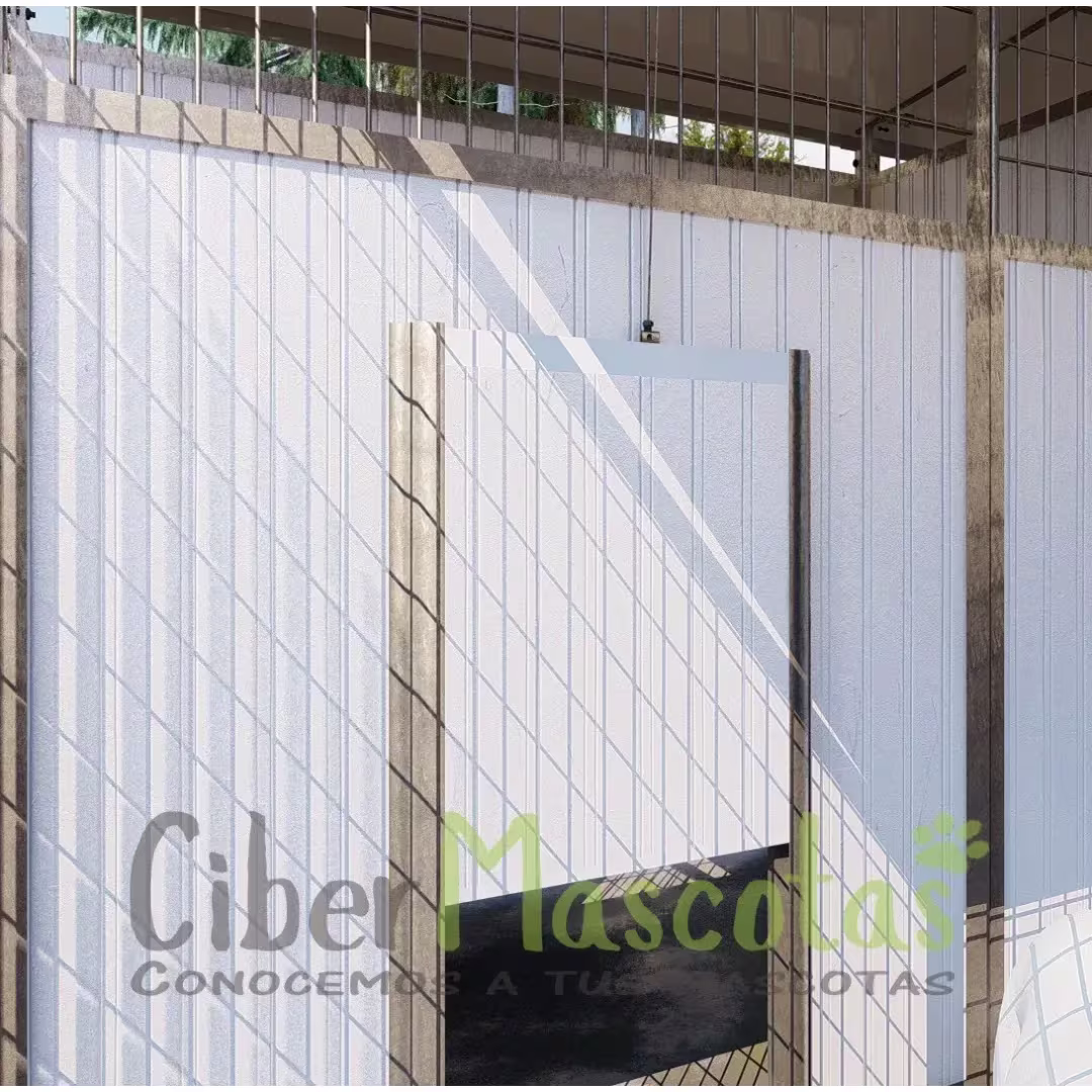 Batería de boxes para residencias caninas | CiberMascotas