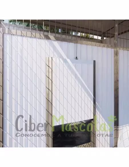 Batería de boxes para residencias caninas | CiberMascotas