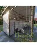Batería de boxes para residencias caninas | CiberMascotas