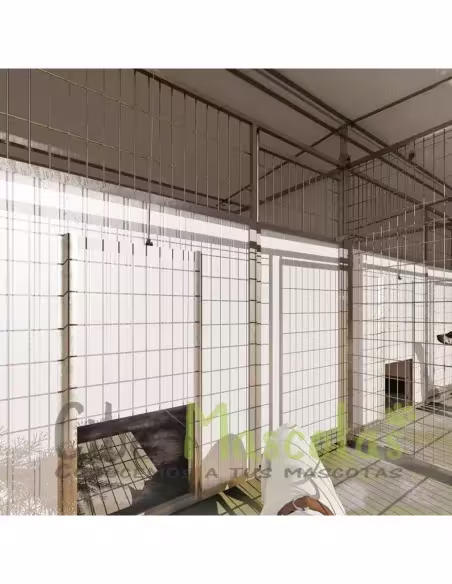 Batería de boxes para residencias caninas | CiberMascotas